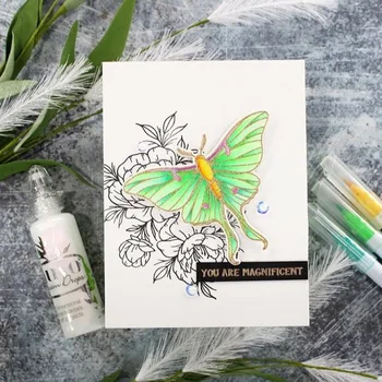 Flori Fluture Magic Lună de Vacanță Animale Micul Fete Clar Timbre Moare de Tăiere pentru DIY Scrapbooking Carduri Meserii 2020 Nou