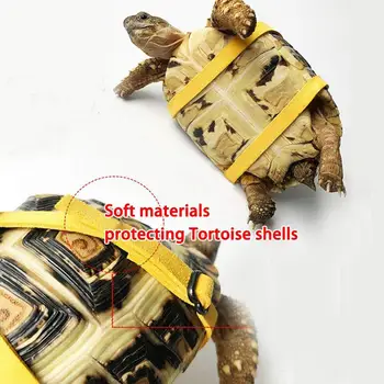 HiMISS Turtle Centura De Tracțiune De Control Coarda De Formare Centura De Mers Pe Jos Duce Nici Unul Consumabile Pentru Mici Niciunul Broască Țestoasă