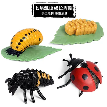 Simulare de Animale Insecte Macheta Figurine Mini Insecte Ciclu de Creștere a Animalelor din PVC Jucării Cifre Material Didactic Copil Cadouri pentru Copii