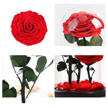 Veșnică a Crescut În Capac de Sticlă Veșnică a Crescut de Sticlă Păstrate Proaspete de Trandafir de Sticlă Ziua Îndrăgostiților Romantic Rose Sticlă Nemuritor Rose