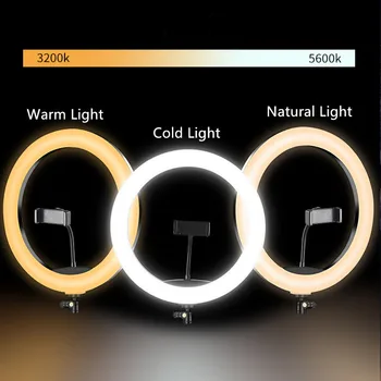10in Selfie Pe-Lumina camera cu Stand trepied Estompat LED Lampă în formă de Inel cu Suport de Telefon-USB Plug pentru Streaming Video Live
